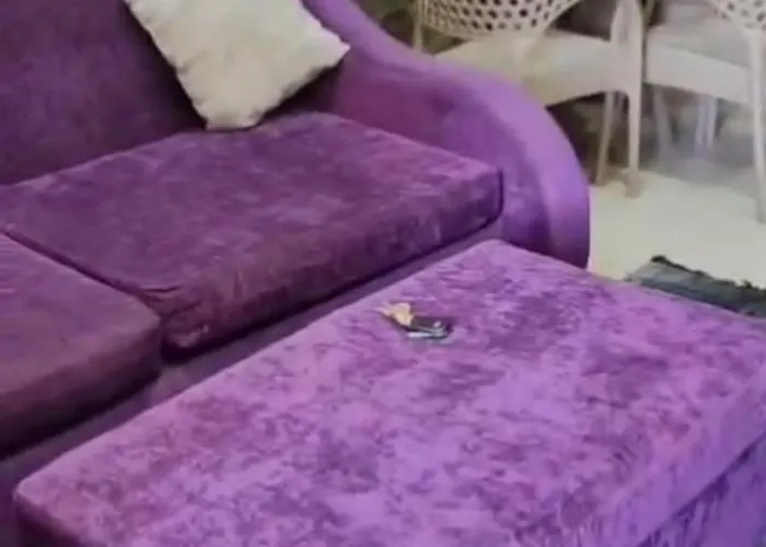 Aparthotel الشاليه ملغى *